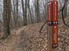 Moonshiners' Trail and Indian Pipes intersection.