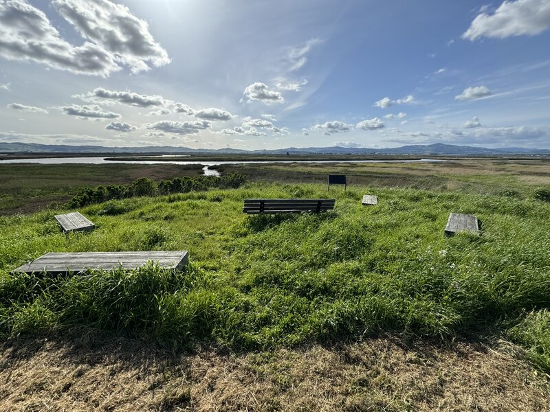 Looking westward over the Suisun Marsh.