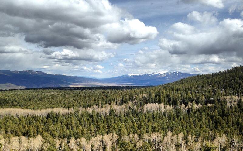 Valley view from Lower Browns Creek Trail.