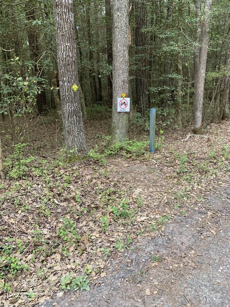 Ron Wilson Memorial Trailhead