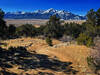 Mt. Princeton looming over Buena Vista.