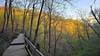 Bridal Veil Falls Trail.