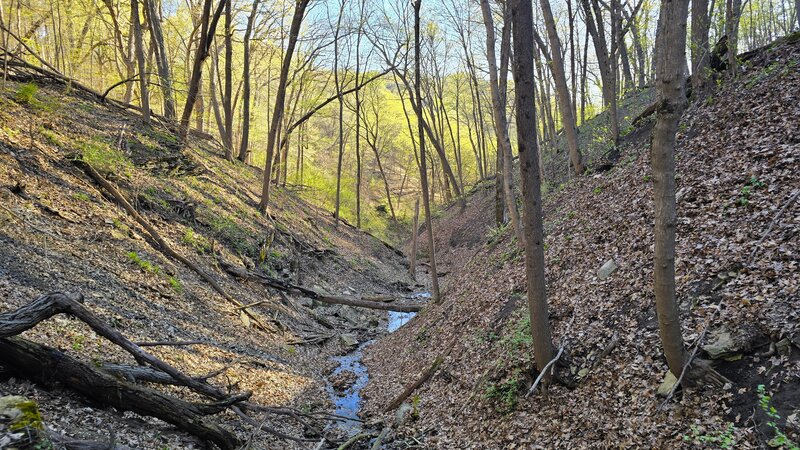 Weeping Rock Trail