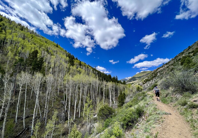 Hiking up Green's Creek.