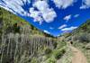 Hiking up Green's Creek.