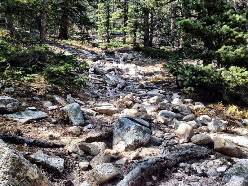 Rocks in the lower reaches of Little Browns Creek,