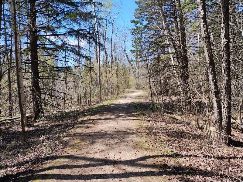 Watt's Lake Trail near the beginning.