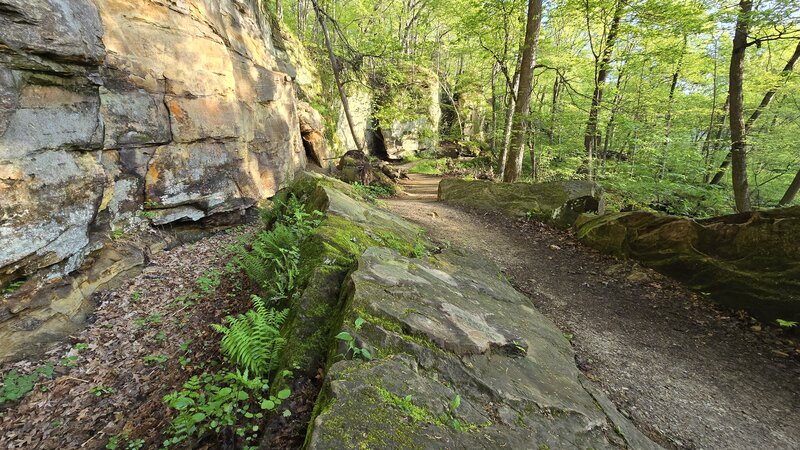 Lower Picnic Area Trail. Steamboat Rock at the far end.