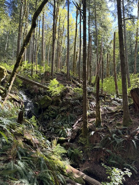 Small waterfall at a rest point halfway up the trail.