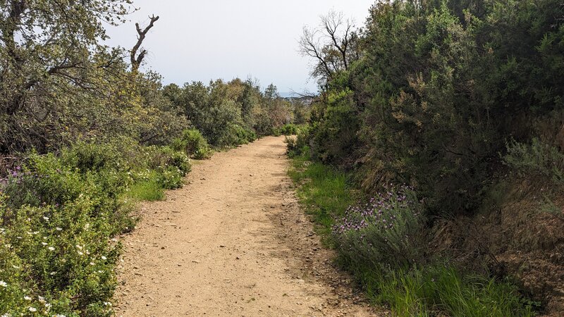 Deffend Peak Loop