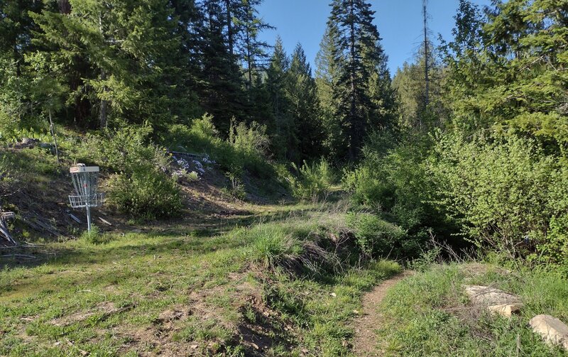 East Hawkhaven Trail emerges from the forest near its junction with Stormking Parkway, and one of several Disc Golf Course "holes" (left) that it visits.