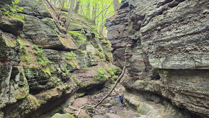 Parfrey's Glen Trail