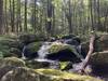 Mossy little waterfall, along Horse Hill Brook.