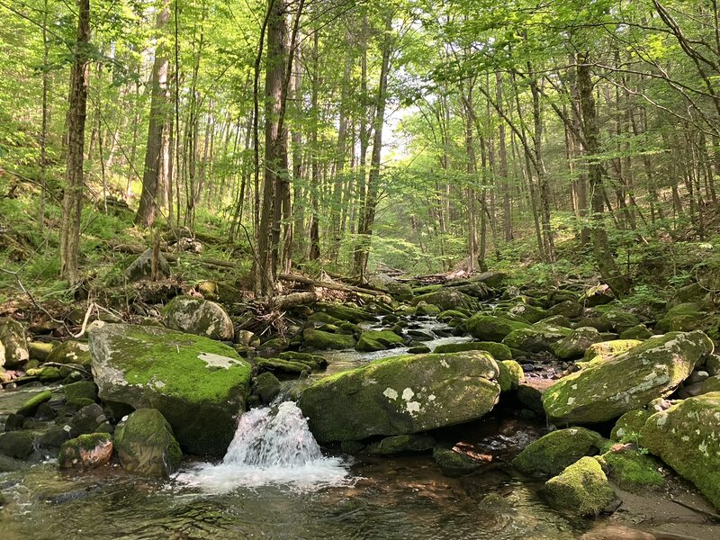 The view, along Roaring Brook.