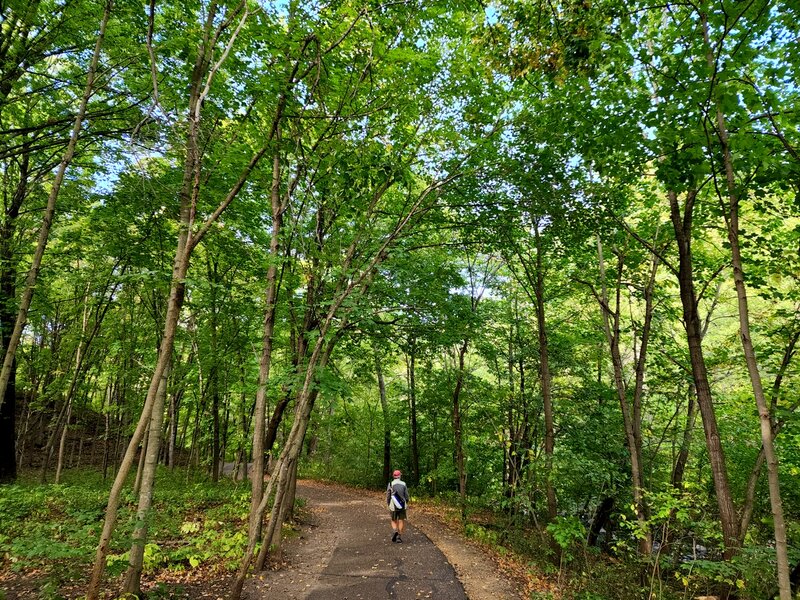 On the trail in early fall.