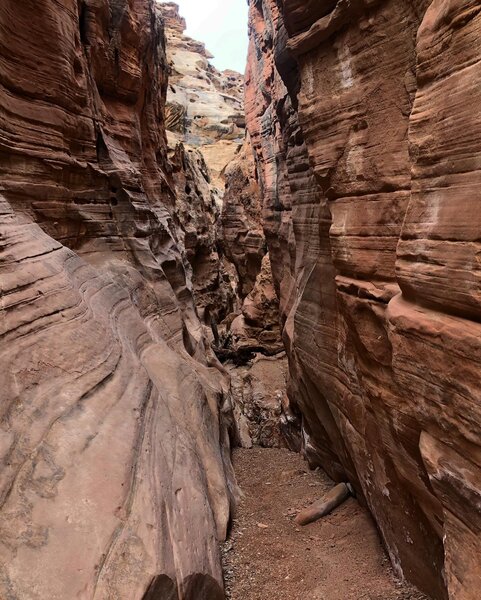 Crack Canyon narrows