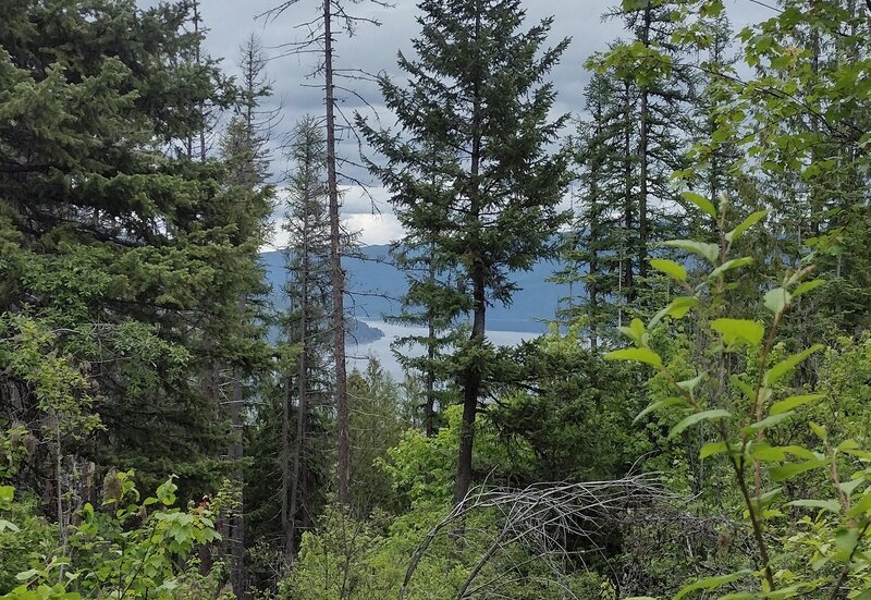 Glimpses of Lake Pend O'reille through all the trees, from high on Scout Trail.