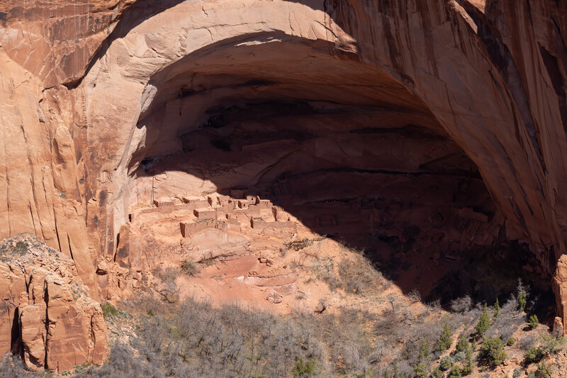 Betatakin Dwelling from Betatakin Overlook.