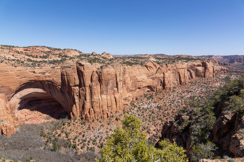 Betatakin Canyon