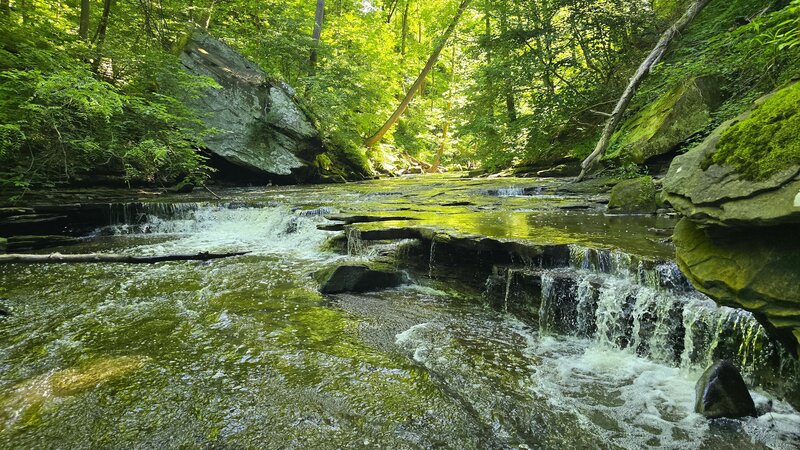 Brandywine Creek