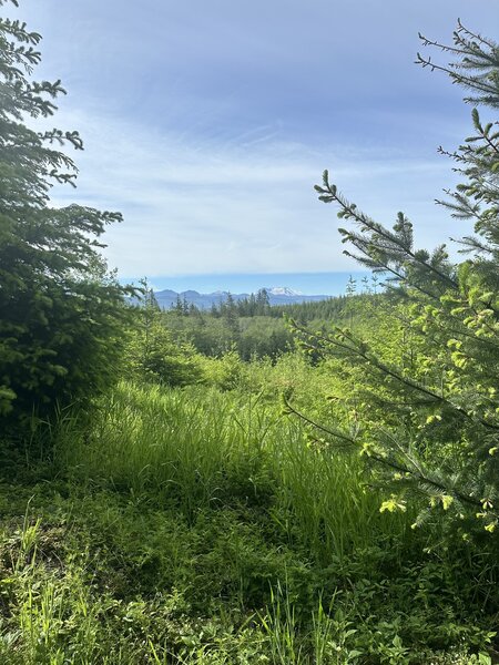 Distant Rainer views