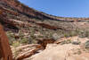 The imposing walls of Trail Canyon