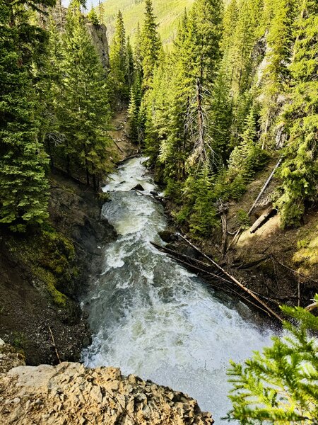 Passage Creek Falls from Above, in June.