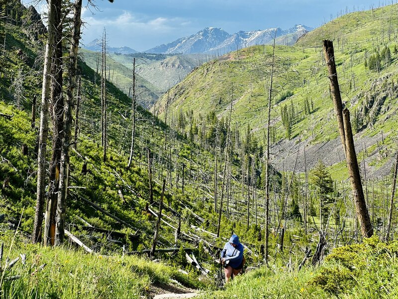 Last climb before descent to the Falls, looking north