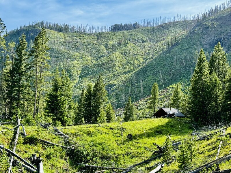 Small cabin near passage Creek Falls.