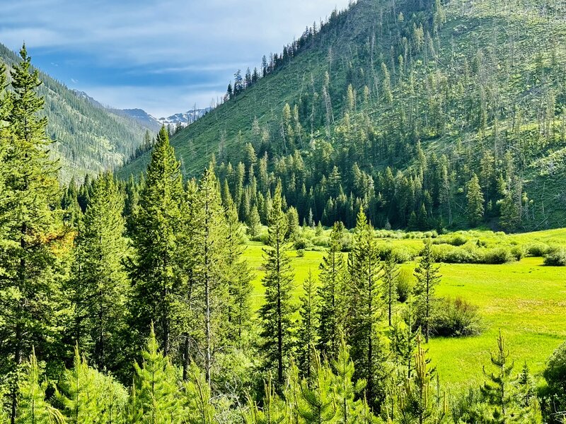 Beautiful meadow southwest of Passage Creek Falls.