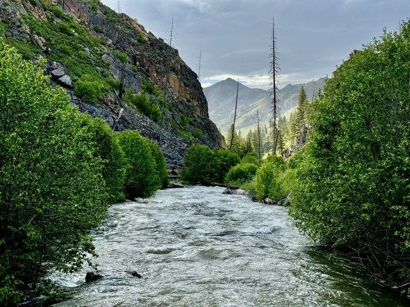 Bridge over Mill Creek at trailhead