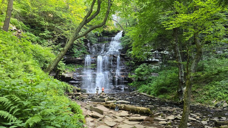 Ganoga Falls