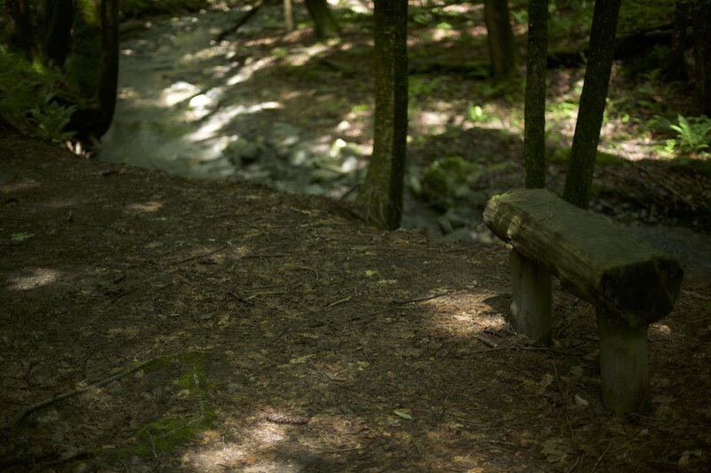 There is a bench along the brook where you can sit and enjoy the peace of the woods.