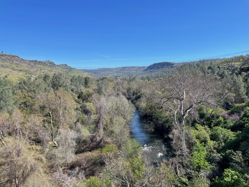 View up canyon of Big Chico Creek from Annie Bidwell Trail.