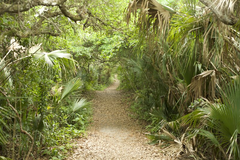 The Castle Windy Trail winds through the forest and provides you some quiet from the busy seashores across the road.