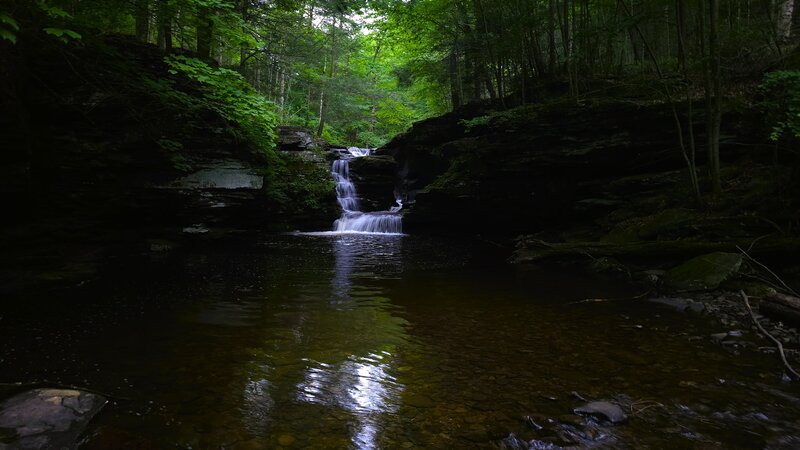 Murray Reynolds Falls