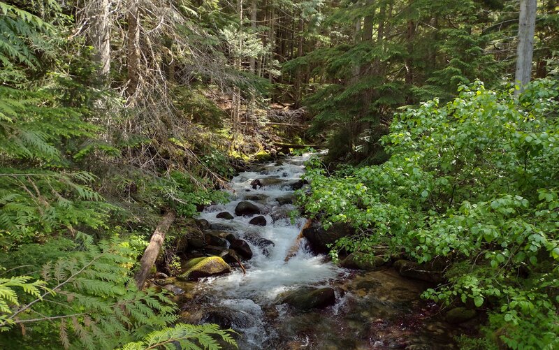 Boulder Creek. From above on the sturdy bridge that crosses it.