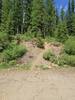 The beginning of the trail on Surveyor Creek Road.