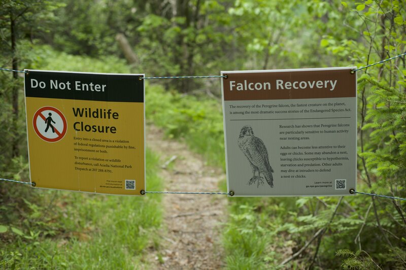 The park services closes part of the trail from March - August to allow Peregrine Falcons to nest and rear their young before they re-open it.