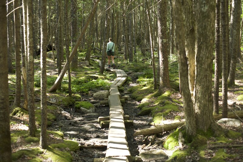 There are sections of boardwalk along this trail that make the hiking easy, and preserve the landscape and prevent from the ground getting torn up by hikers.