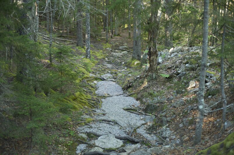 The trail moves out of the boulder field and becomes dirt, gravel, and roots as it levels off.