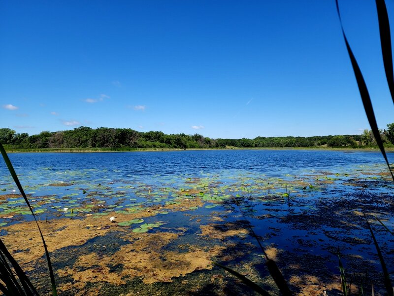 Minnregs Lake