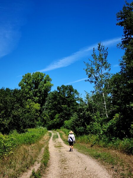 Almost back to the Horse Trail Entrance trailhead.