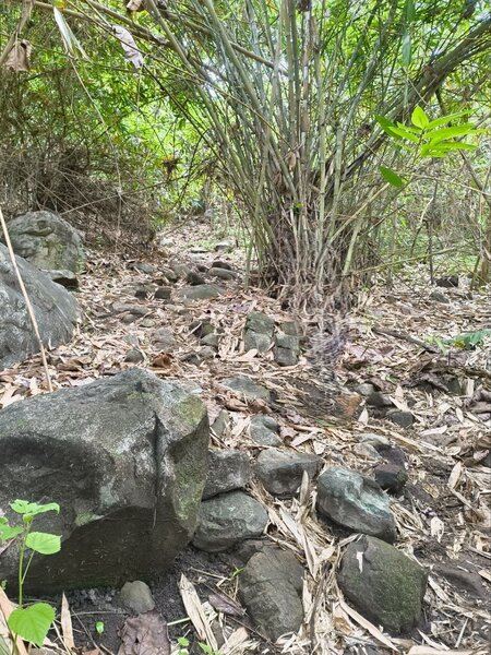 Rocky path as you need to hike up.