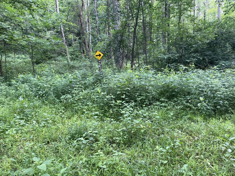 Marker for Woodland back to beach section.