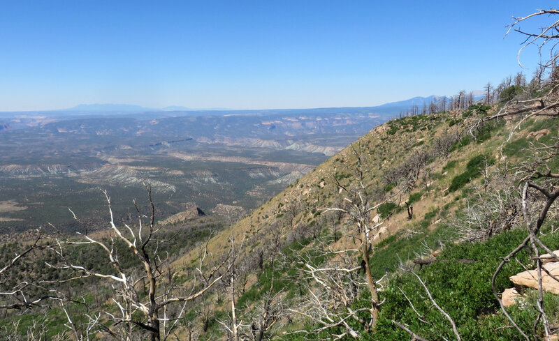 View from Lower Bench Trail looking west towards Utah. Fire was in 2018.