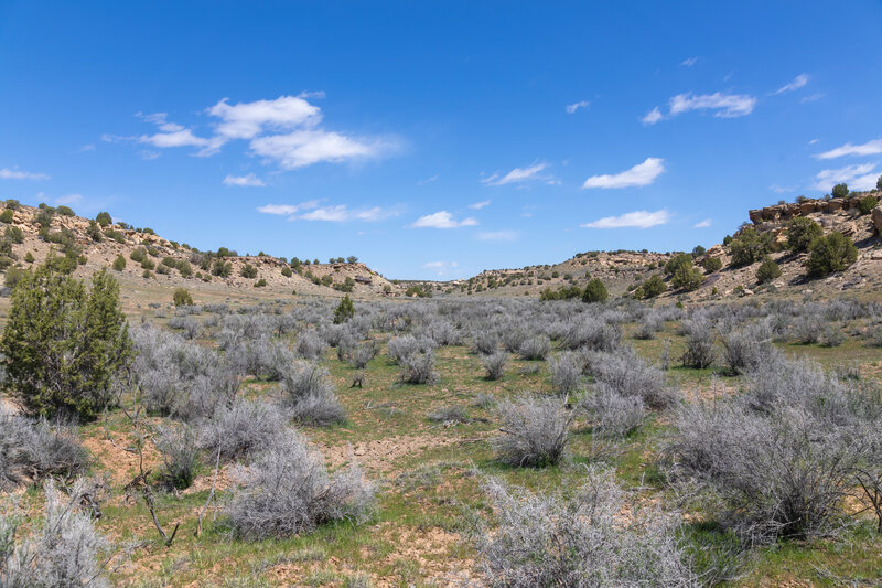 Keeley Canyon