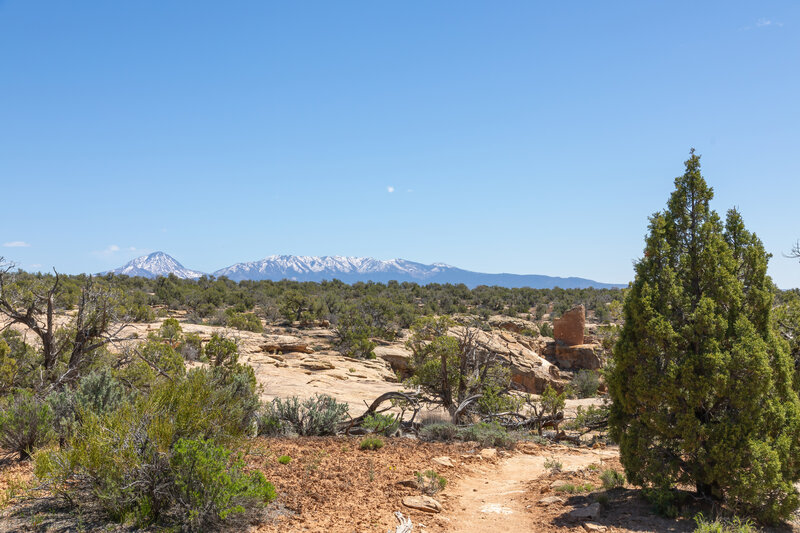 Ute Mountains from Horseshoe Pueblo