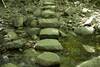 The trail crosses Kebo Brook via some strategically placed rocks that allow for easy rock hops.