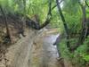 View of the tributary creek at the Chatsworth bridge.